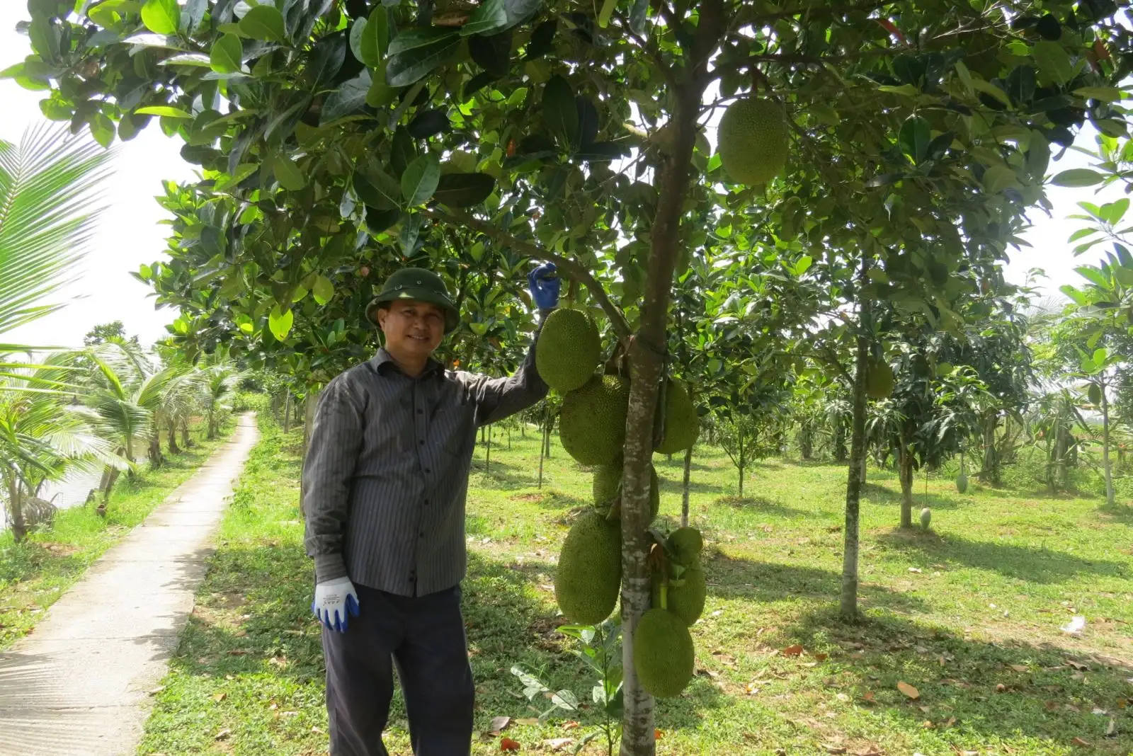 Nông thôn Hải Phòng khởi sắc từ phong trào nông dân thi đua sản xuất kinh doanh giỏi