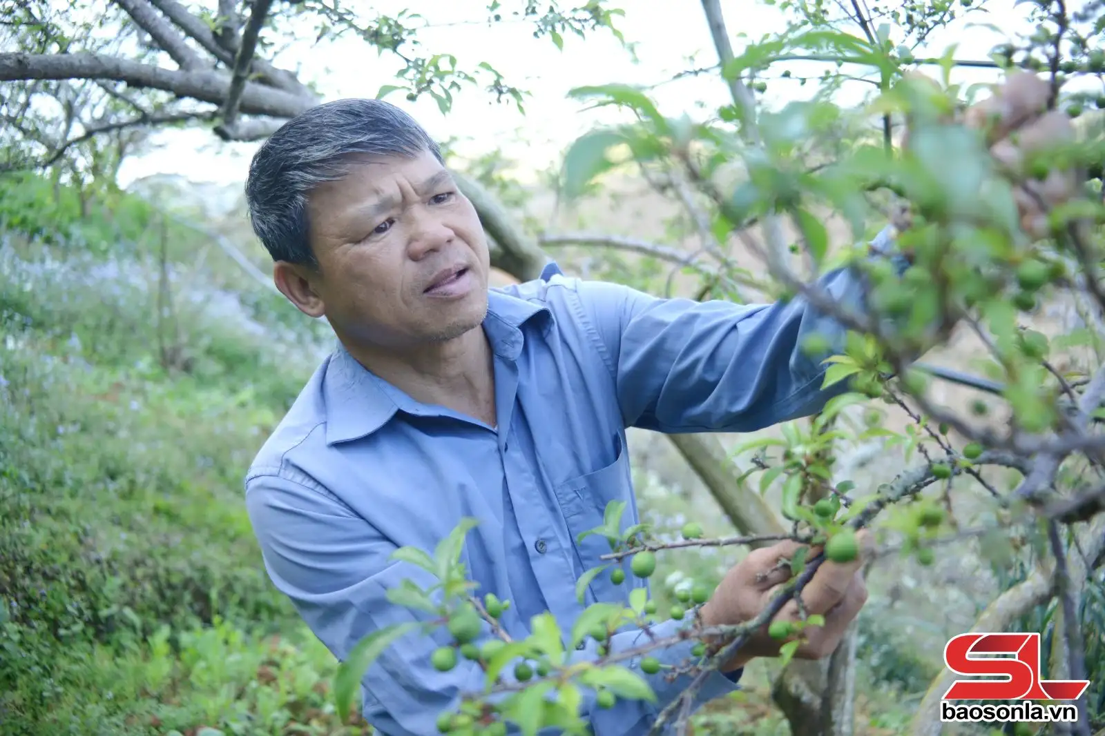 Nông thôn mới ở Phiêng Khoài