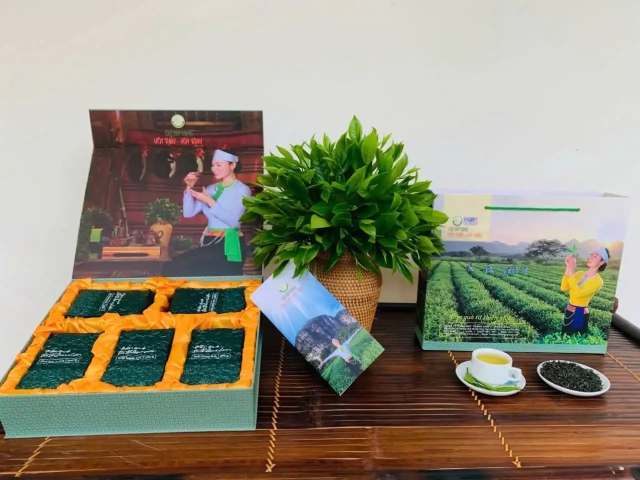 Nông Thôn Tây Bắc: Chè búp xanh Yên Thủy thu 200 triệu đồng/ha nhờ chuẩn OCOP 4 sao