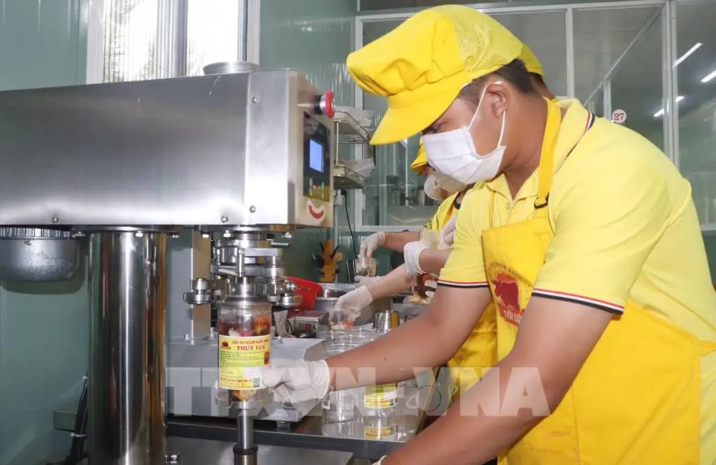 OCOP Cà Mau: Từ đặc sản vùng đất Mũi đến thị trường rộng mở