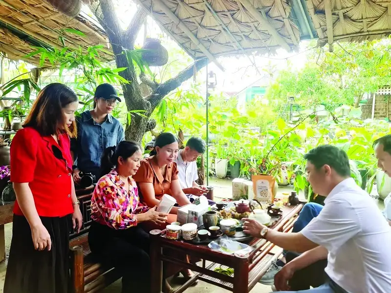 OCOP Nghệ An: Động lực phát triển kinh tế nông thôn bền vững