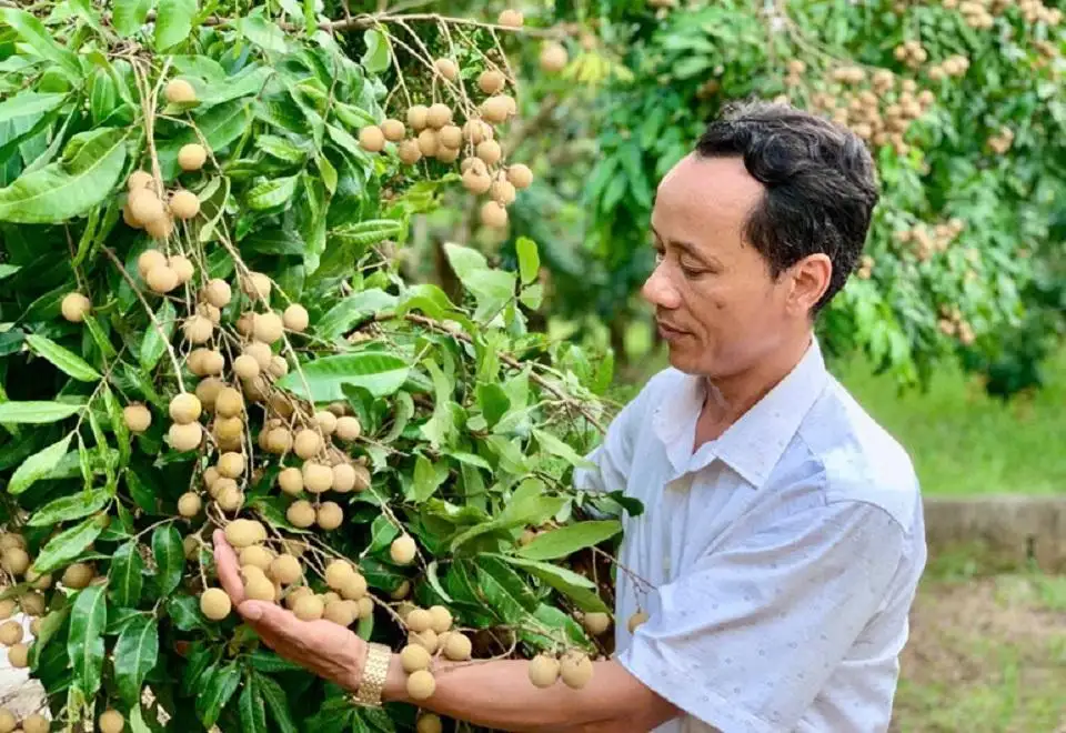 Phát triển sản phẩm OCOP tạo động lực xây dựng nông thôn mới ở Hưng Yên