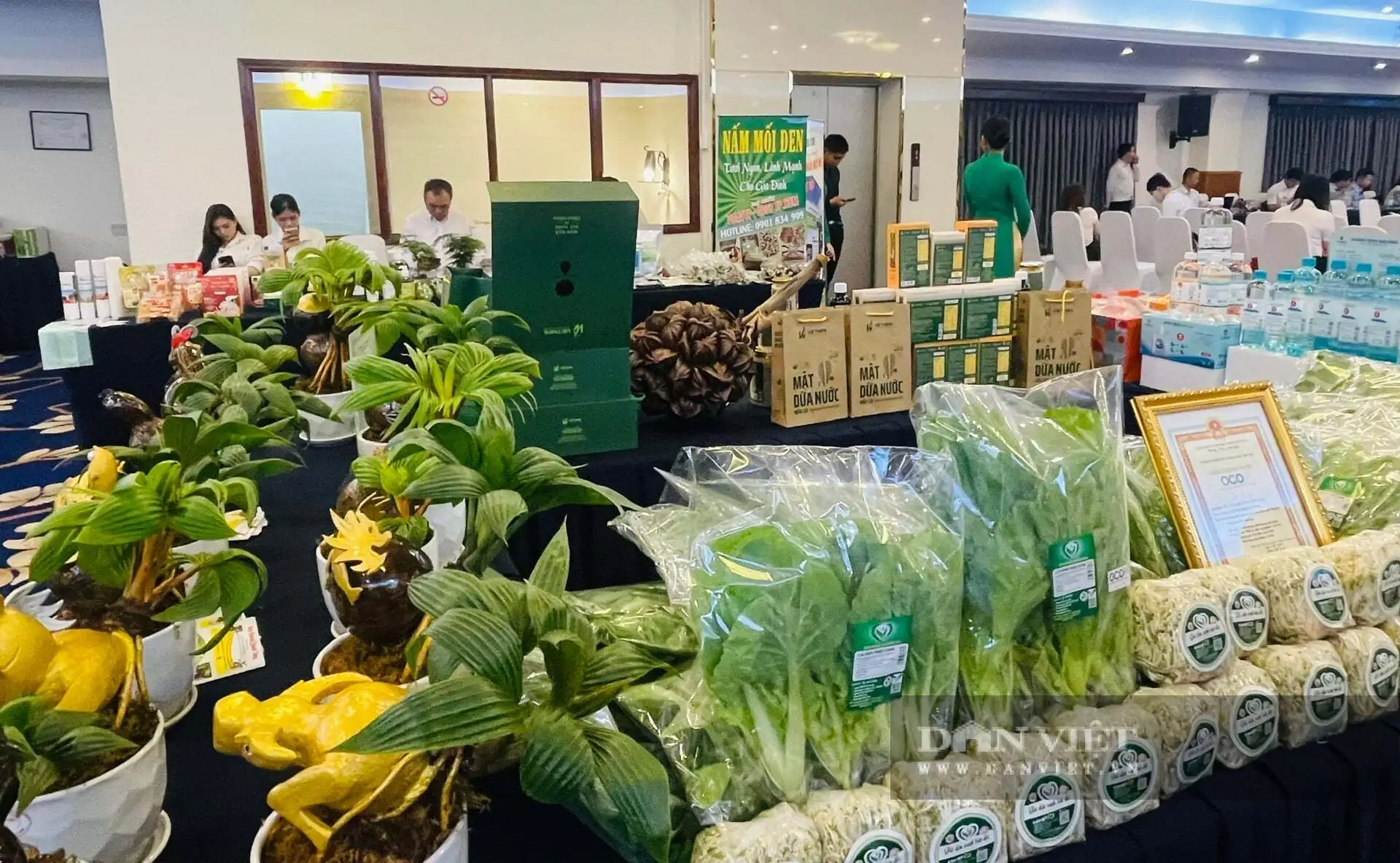 Phường Bình Minh, tỉnh Tây Ninh, Hội Nông dân hỗ trợ hội viên làm đặc sản, sản phẩm sao OCOP, nhiều nhà giàu lên