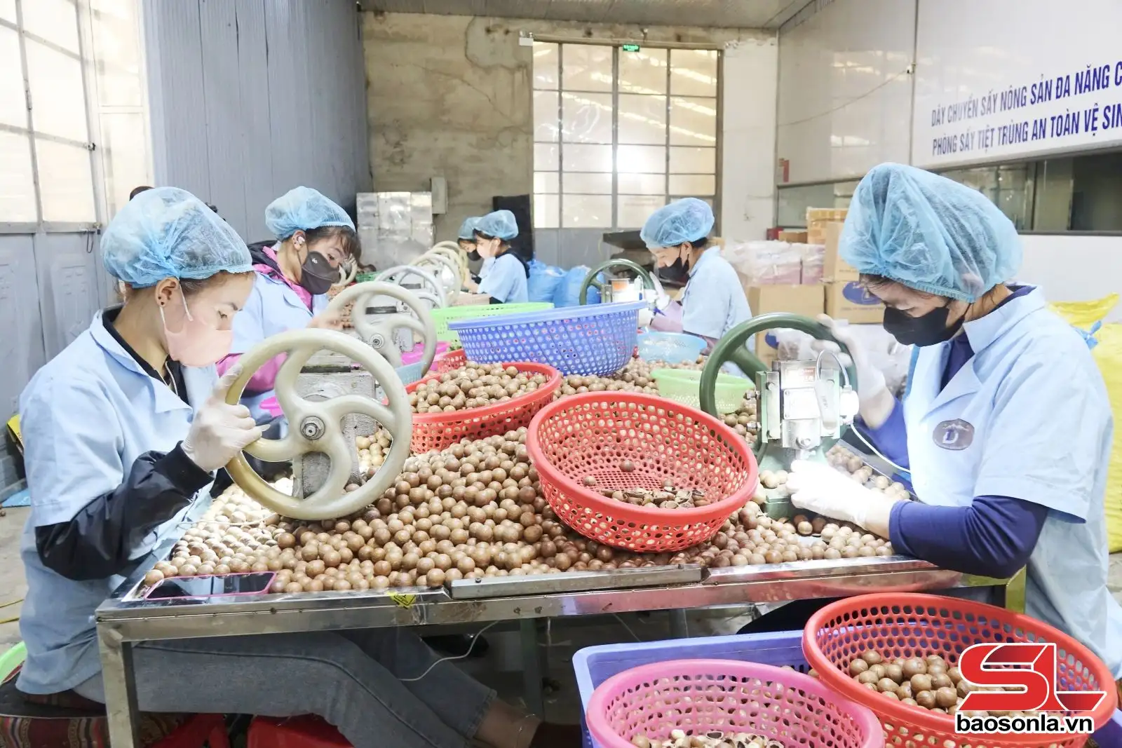 Sản phẩm OCOP “nhập cuộc” thị trường Tết