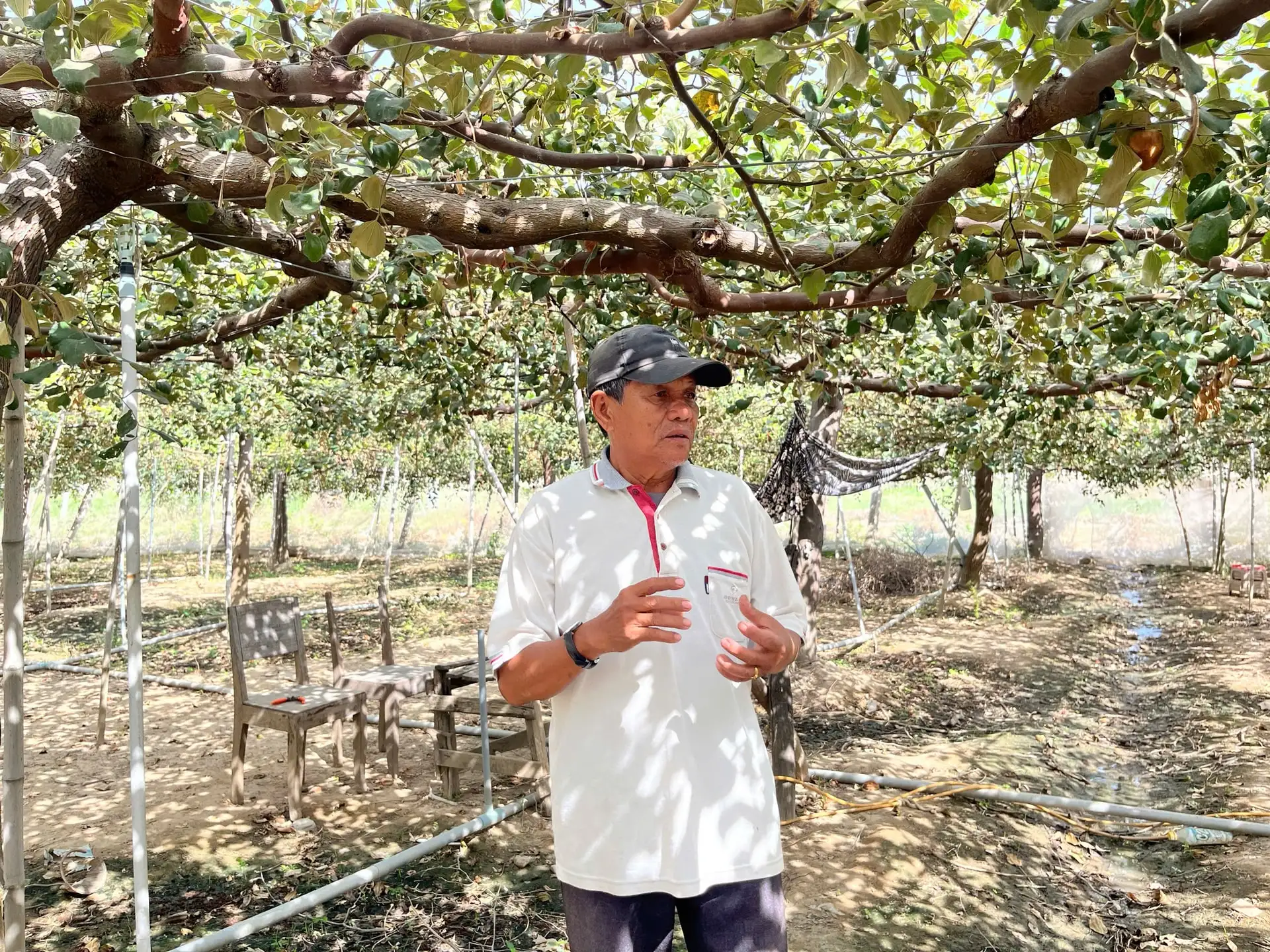 Sức sống mới ở vùng đồng bào Chăm