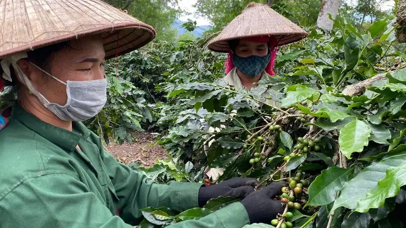 Tạo động lực, thúc đẩy giảm nghèo bền vững