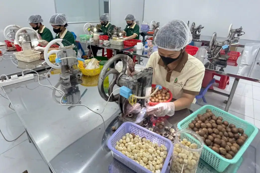 Tập trung chế biến sâu, nâng tầm sản phẩm OCOP