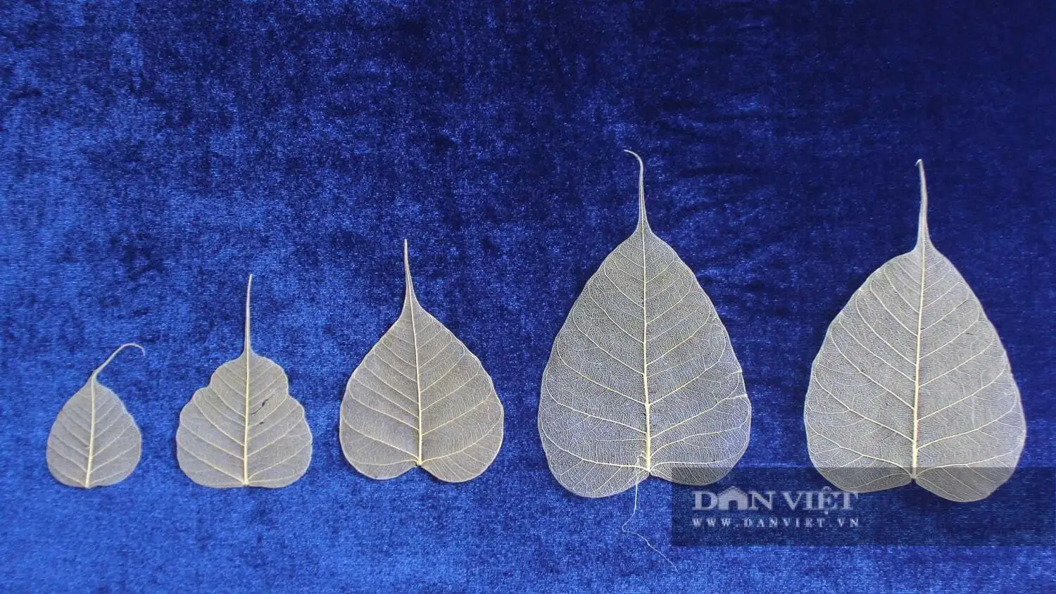 Thêu tranh trên lá bồ đề, người phụ nữ Đồng Nai đã có sản phẩm OCOP 3 sao