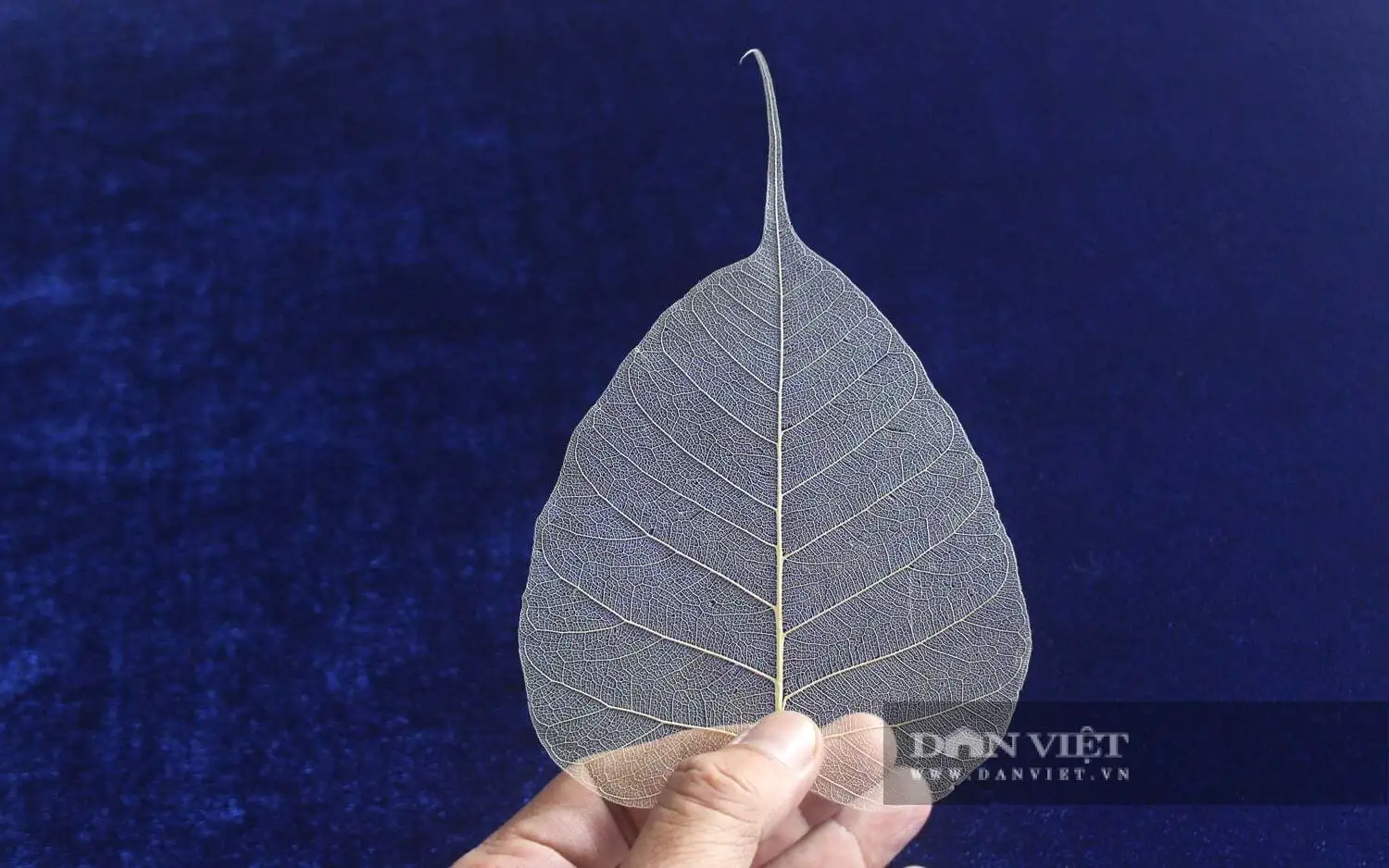 Thêu tranh trên lá bồ đề, người phụ nữ Đồng Nai đã có sản phẩm OCOP 3 sao