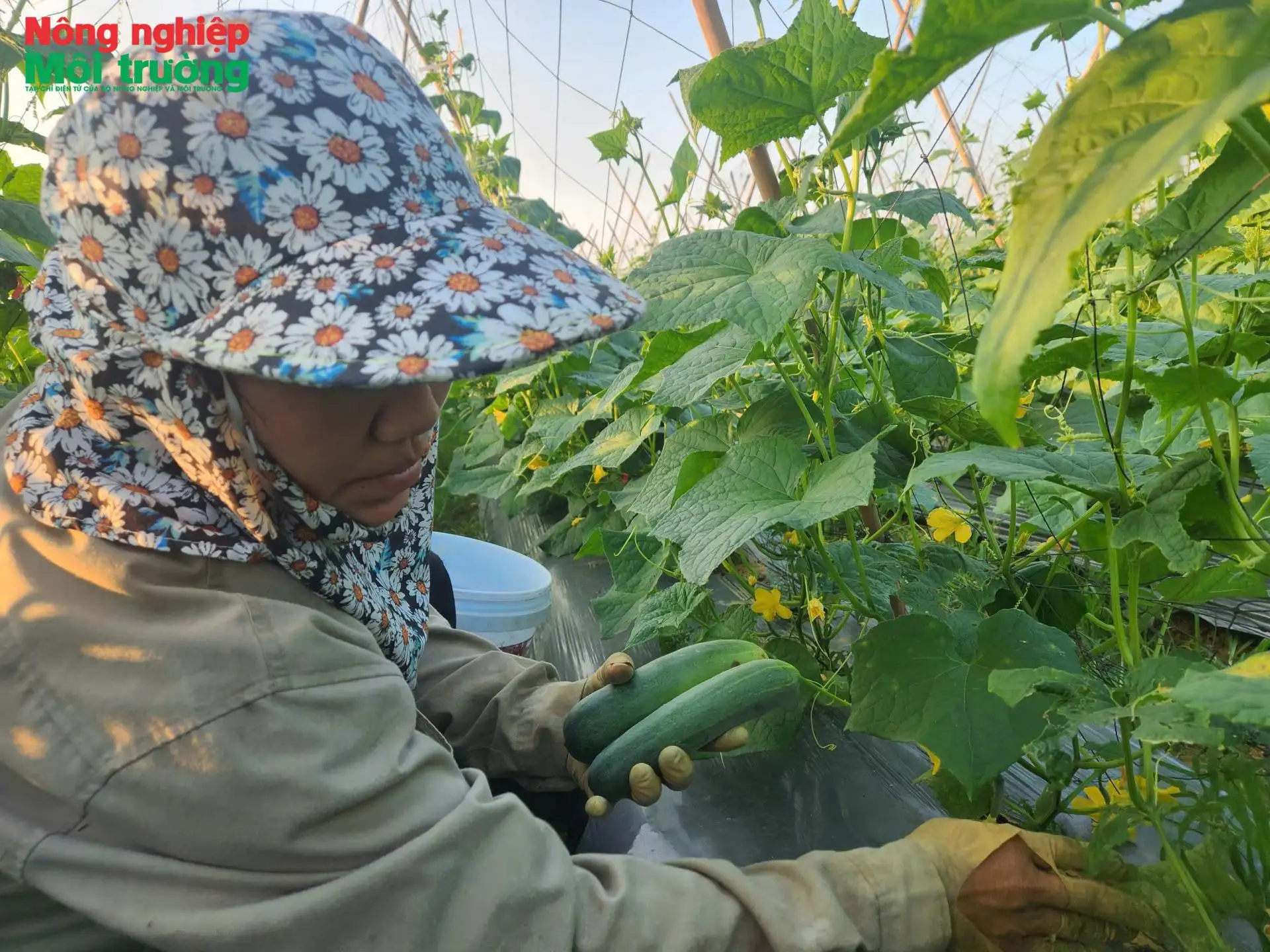 Tiếp sức nông dân sản xuất bền vững trước biến đổi khí hậu