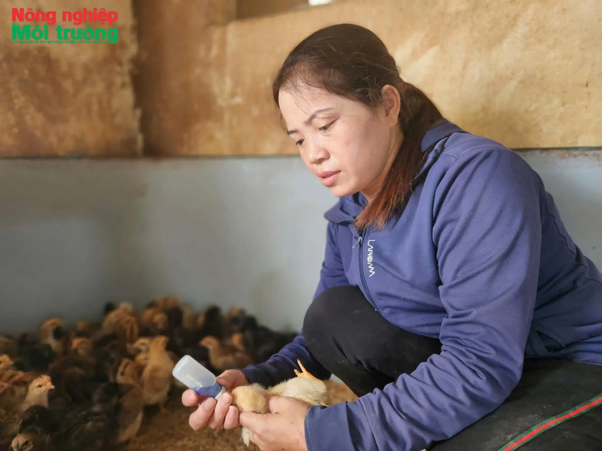 Tiếp sức nông dân sản xuất bền vững trước biến đổi khí hậu