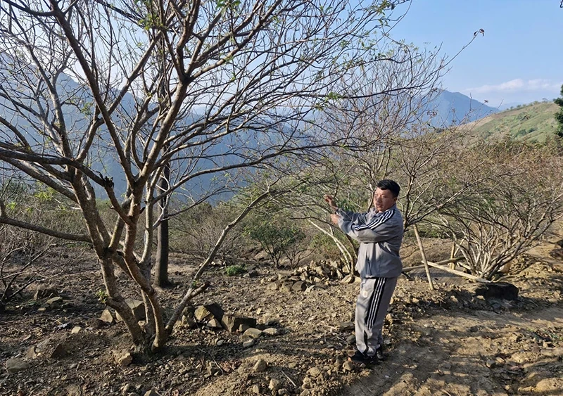 Trao “cần câu” cho hộ nghèo vươn lên thoát nghèo