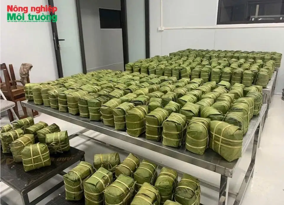 Từ làng nghề Cát Trù đến OCOP 4 sao: Hành trình nâng tầm Bánh chưng Đất Tổ