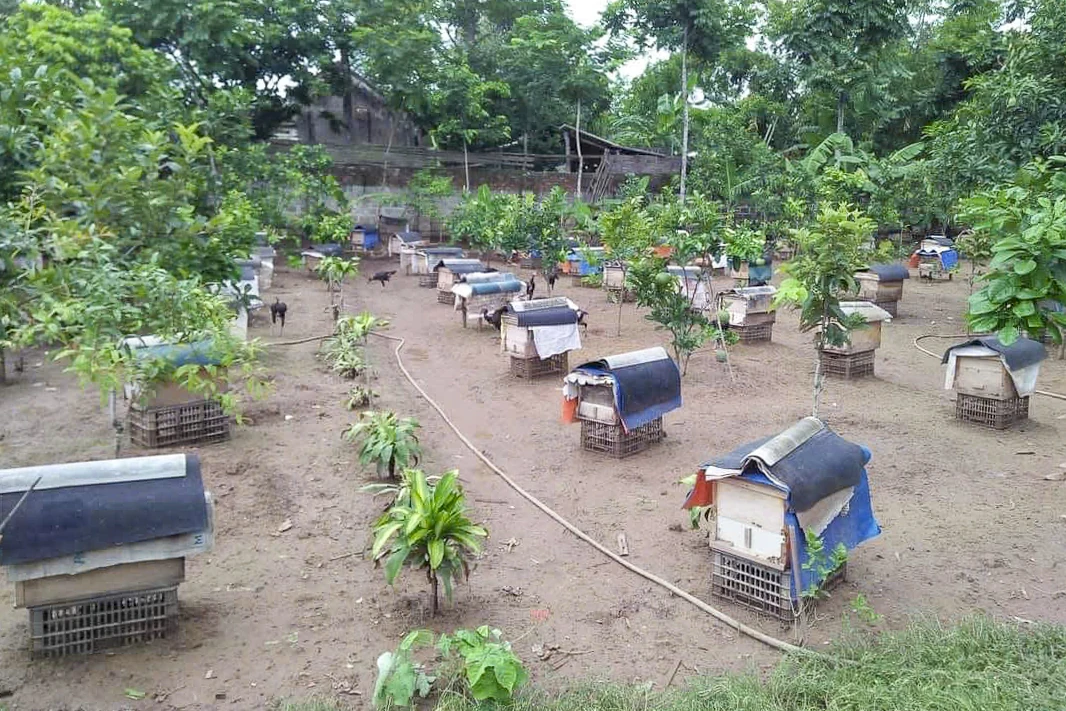 Từ ruộng đồng địa phương đến chuỗi giá trị nông nghiệp công nghệ cao