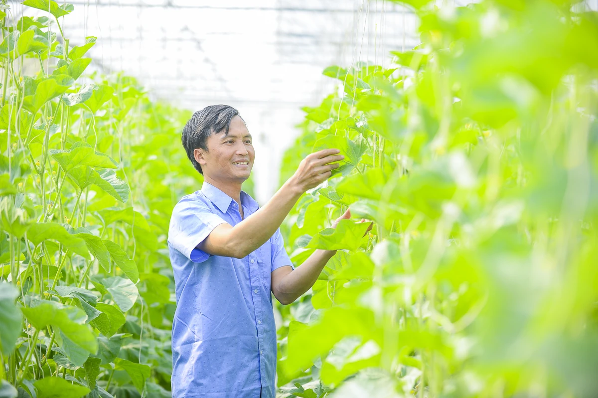 Từ ruộng đồng địa phương đến chuỗi giá trị nông nghiệp công nghệ cao