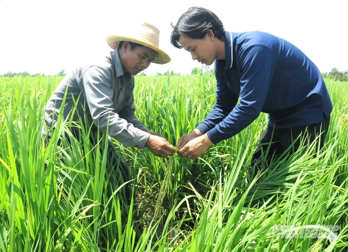 Vui xuân, đón Tết không quên ruộng vườn