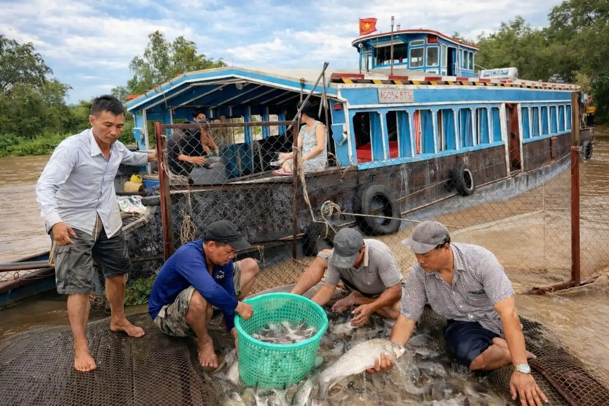Xã An Bình quyết tâm về đích nông thôn mới năm 2026