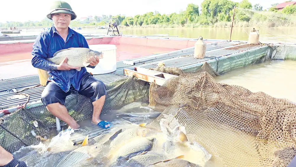 Xã Đại Lai: Sức bật xây dựng nông thôn mới nâng cao