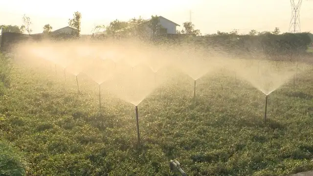 Xây dựng nông thôn mới: Nền tảng vững chắc phát triển kinh tế nông thôn