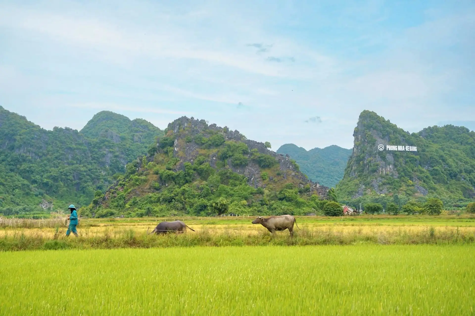 Xây dựng nông thôn mới Quảng Trị: Từ nền tảng vững chắc đến khát vọng nông thôn hiện đại, bền vững