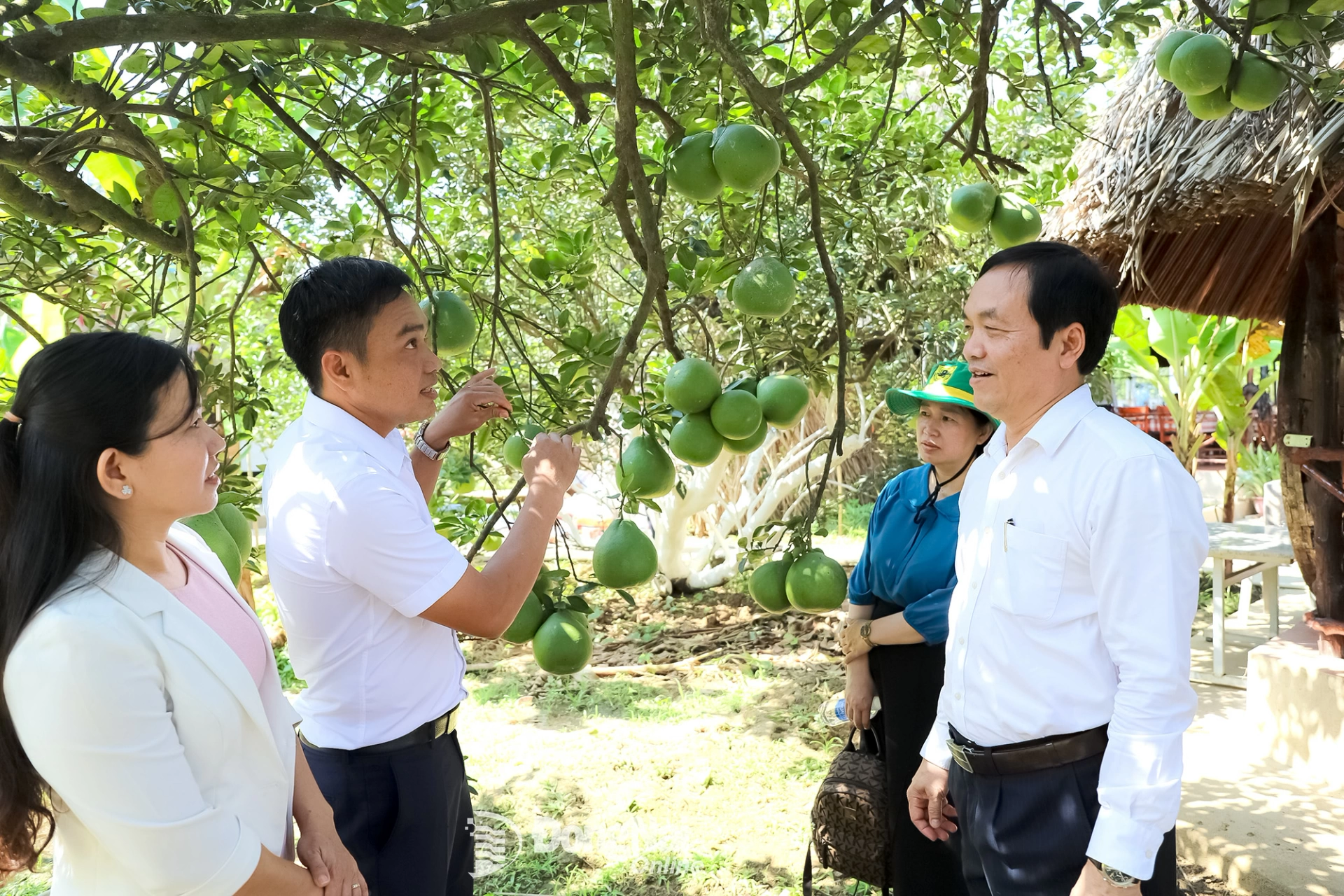 Xây dựng vùng nông thôn đáng sống