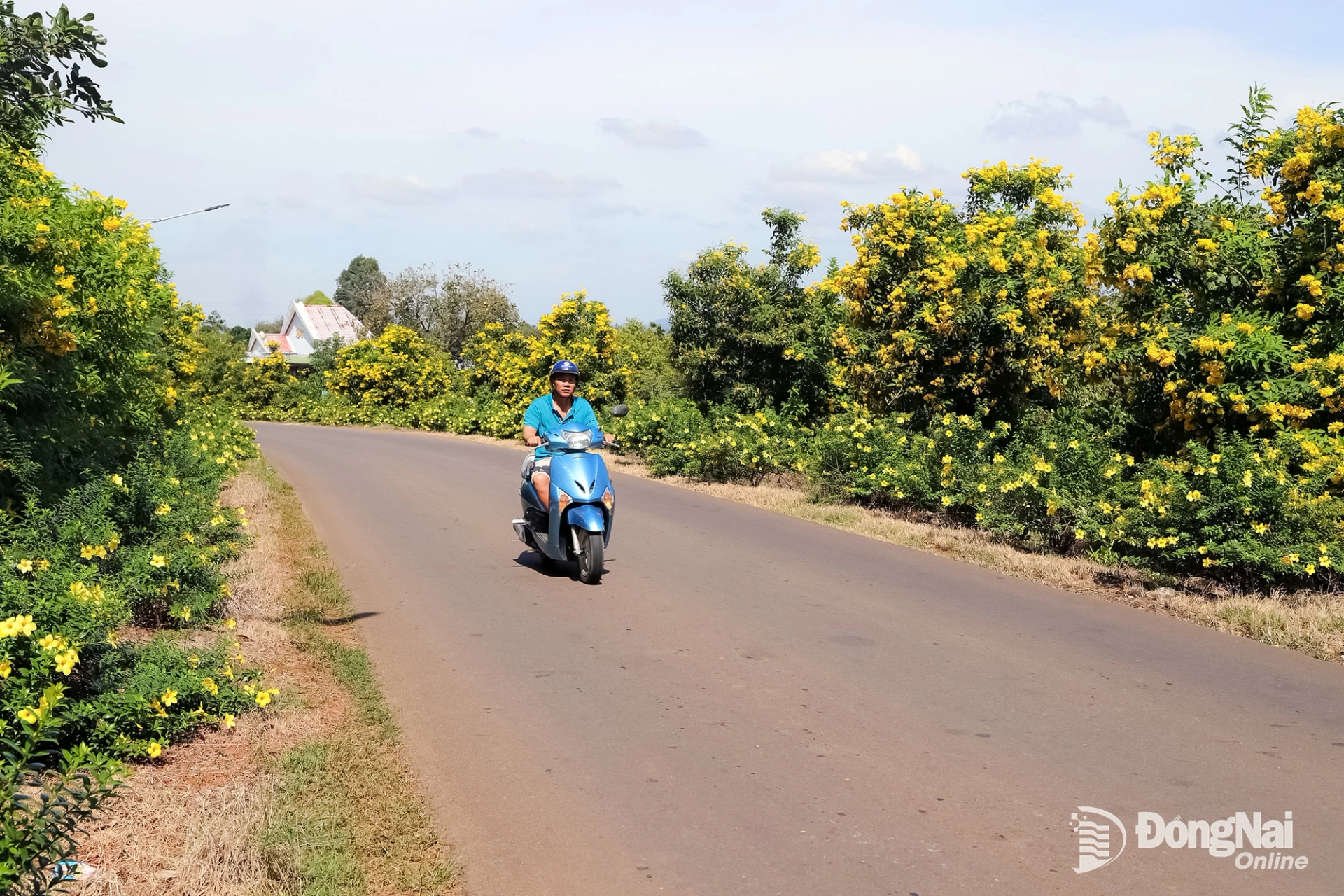 Xây dựng vùng nông thôn đáng sống