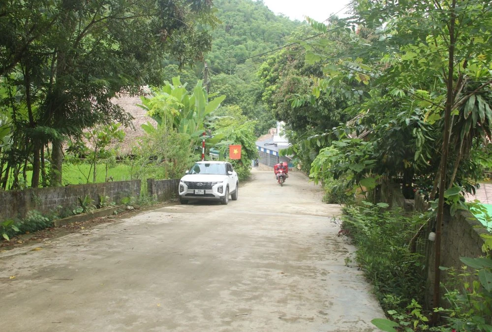 16 sở, ngành, đơn vị được giao chung tay cùng tỉnh xây dựng nông thôn mới