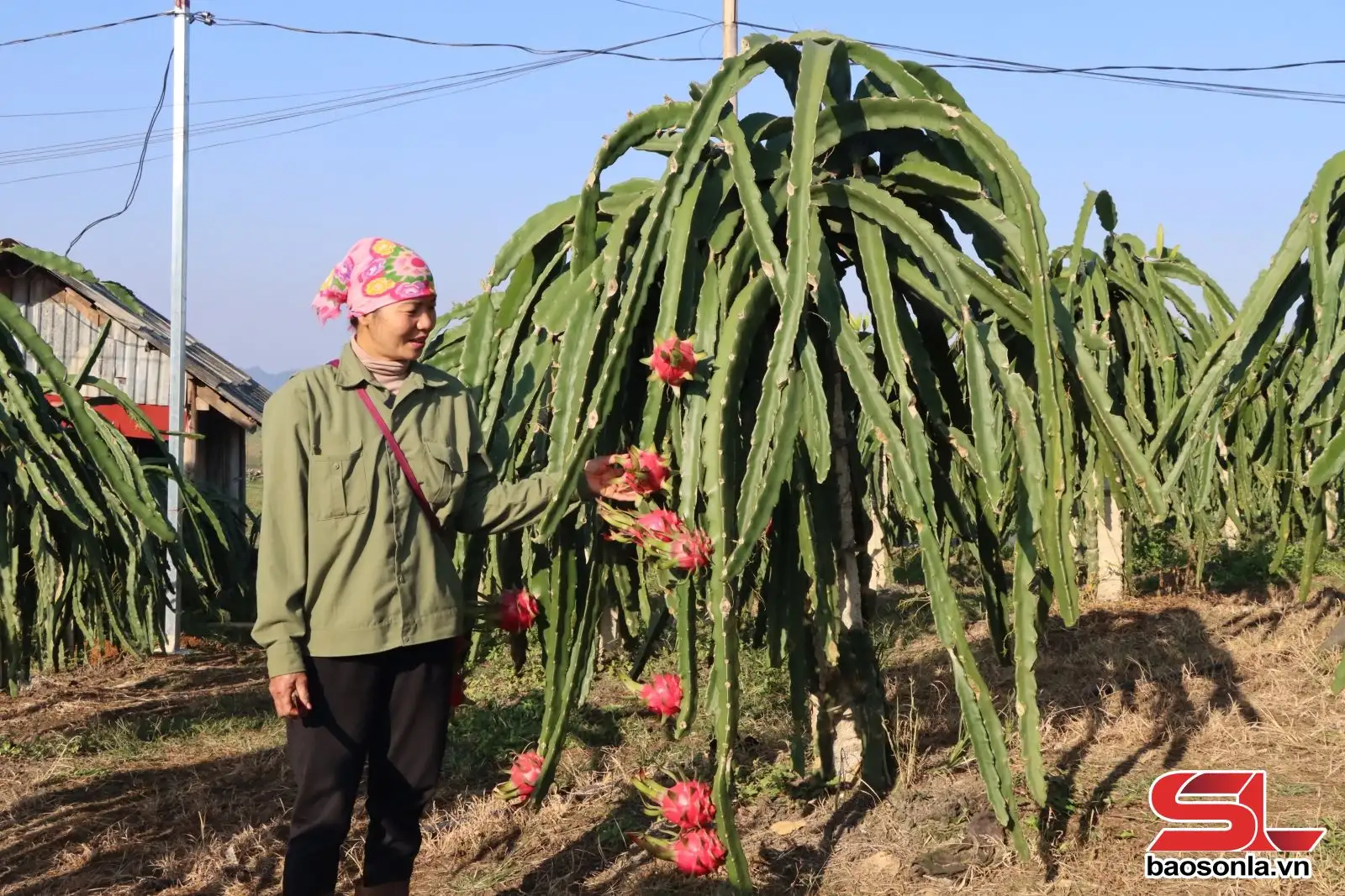 “5 không, 3 sạch” góp phần xây dựng nông thôn mới