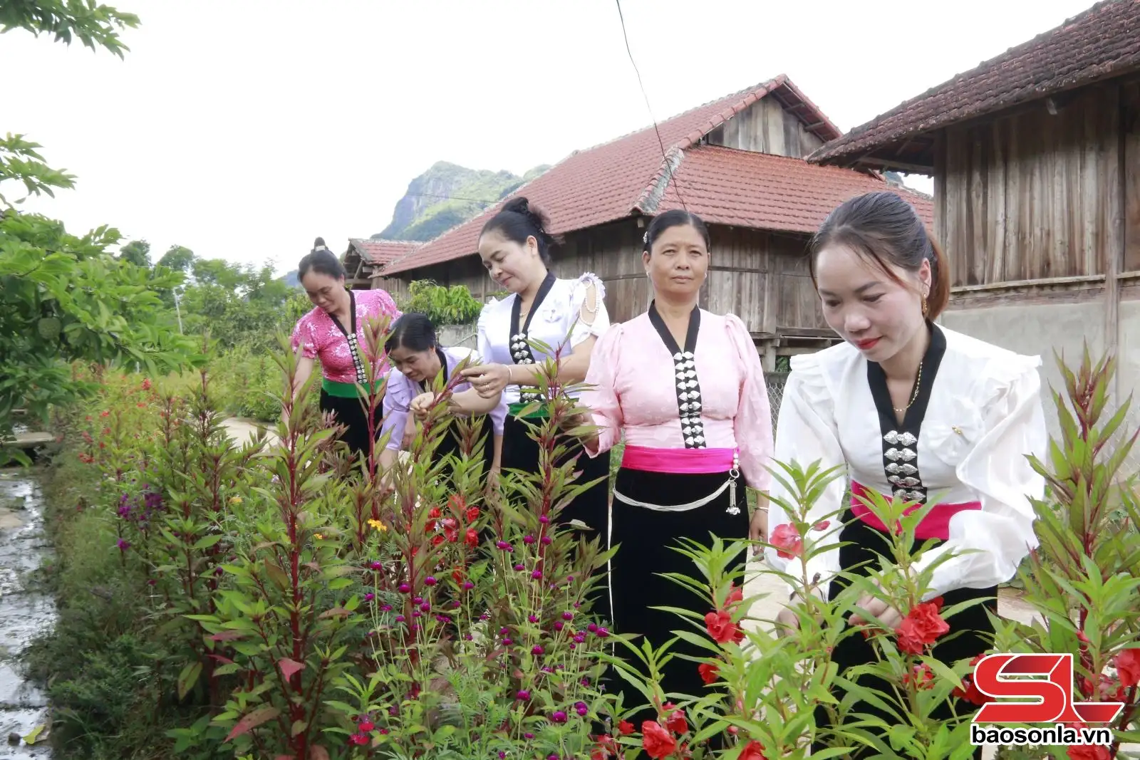 “5 không, 3 sạch” góp phần xây dựng nông thôn mới