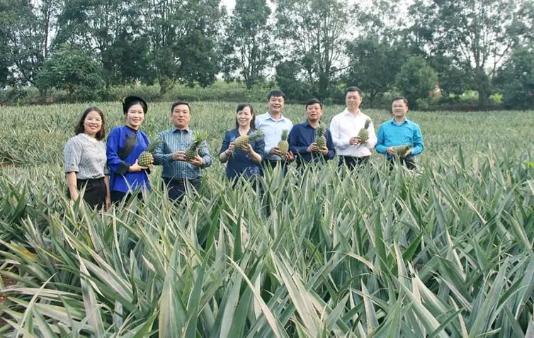 Bắc Ninh: OCOP tạo đòn bẩy cho kinh tế nông nghiệp