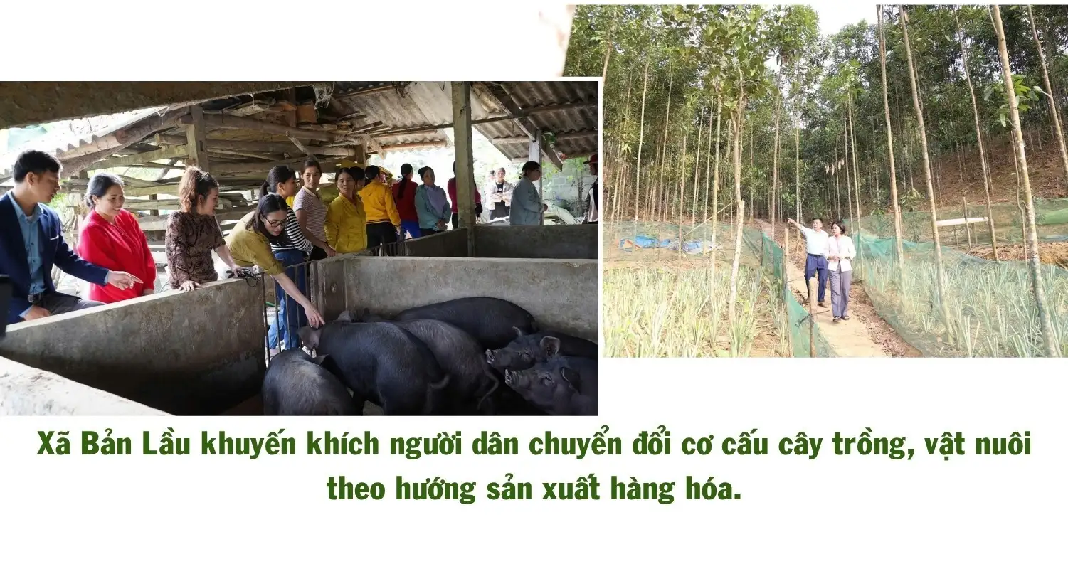 Bản Lầu phát triển nông nghiệp gắn với giảm nghèo bền vững