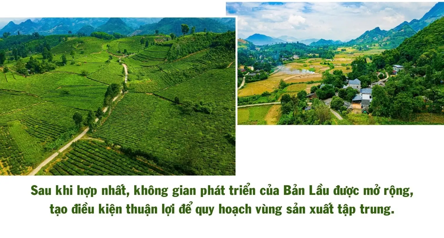 Bản Lầu phát triển nông nghiệp gắn với giảm nghèo bền vững