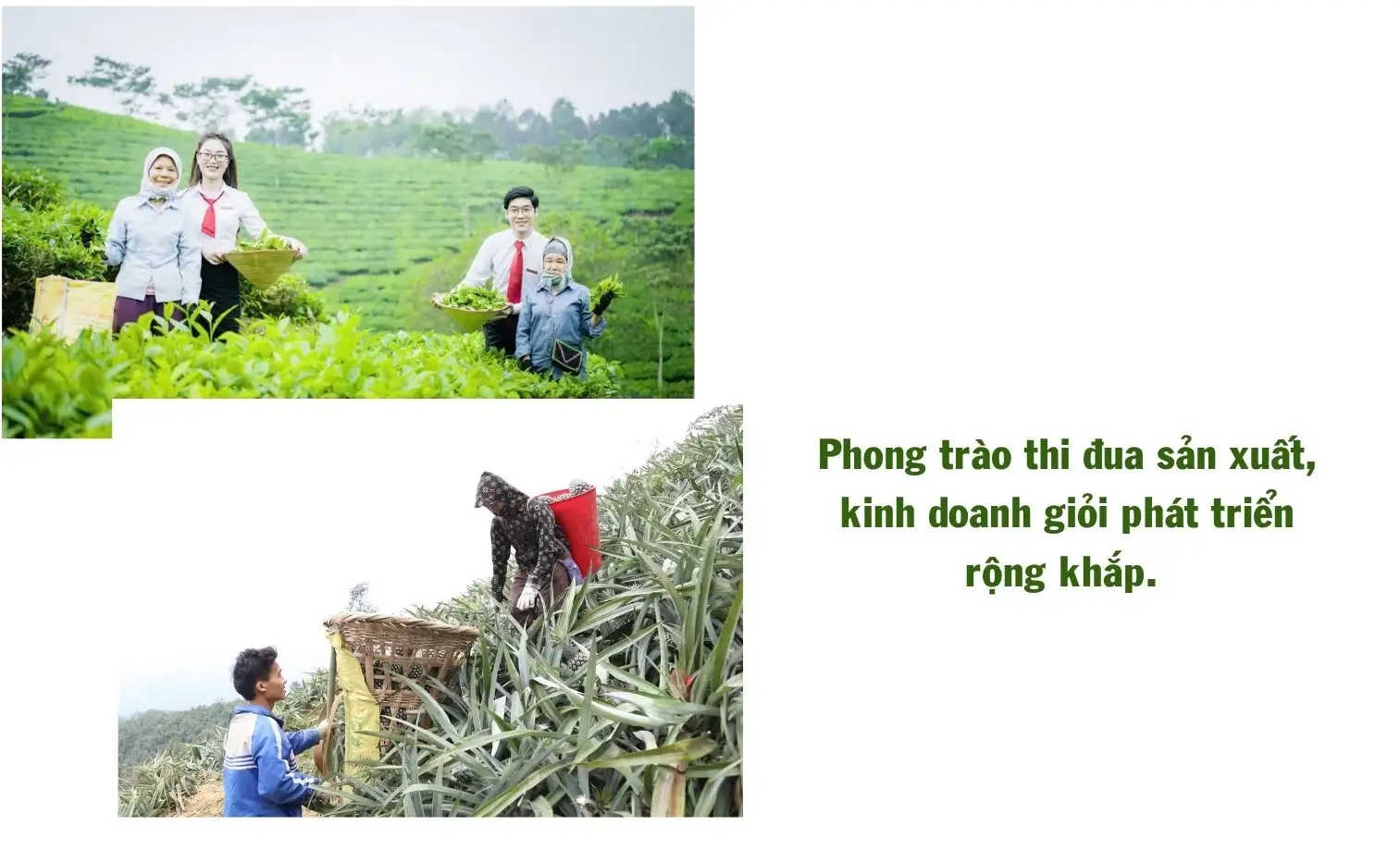 Bản Lầu phát triển nông nghiệp gắn với giảm nghèo bền vững