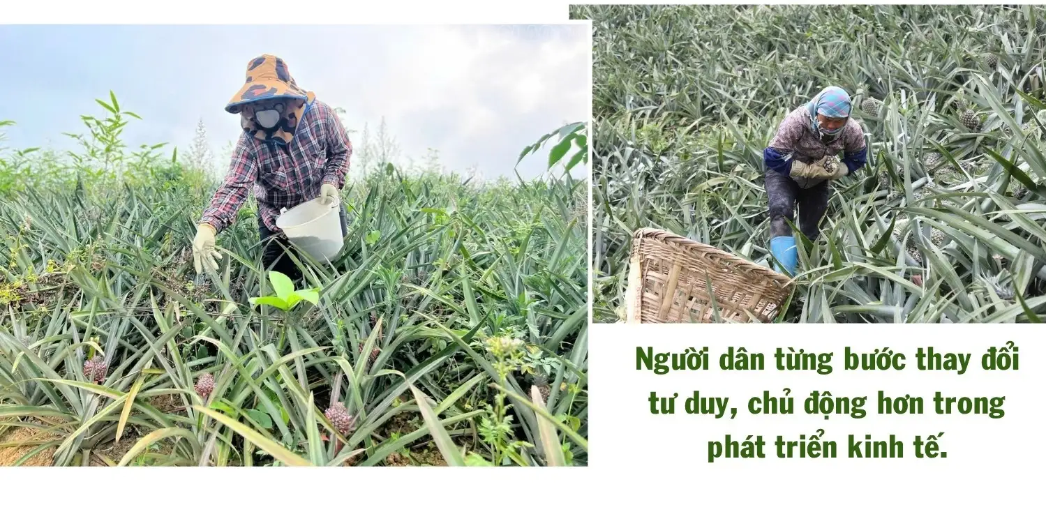 Bản Lầu phát triển nông nghiệp gắn với giảm nghèo bền vững