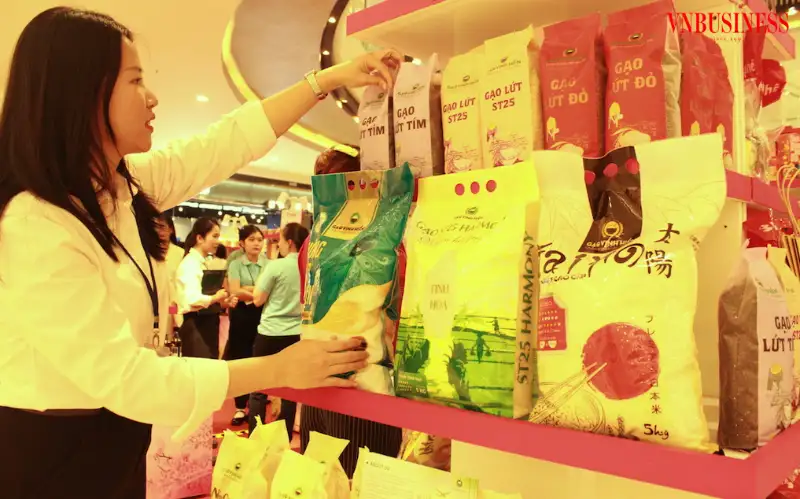 Biến rơm rạ thành “vàng”: Nữ giám đốc HTX thu 20 tấn nấm mỗi năm