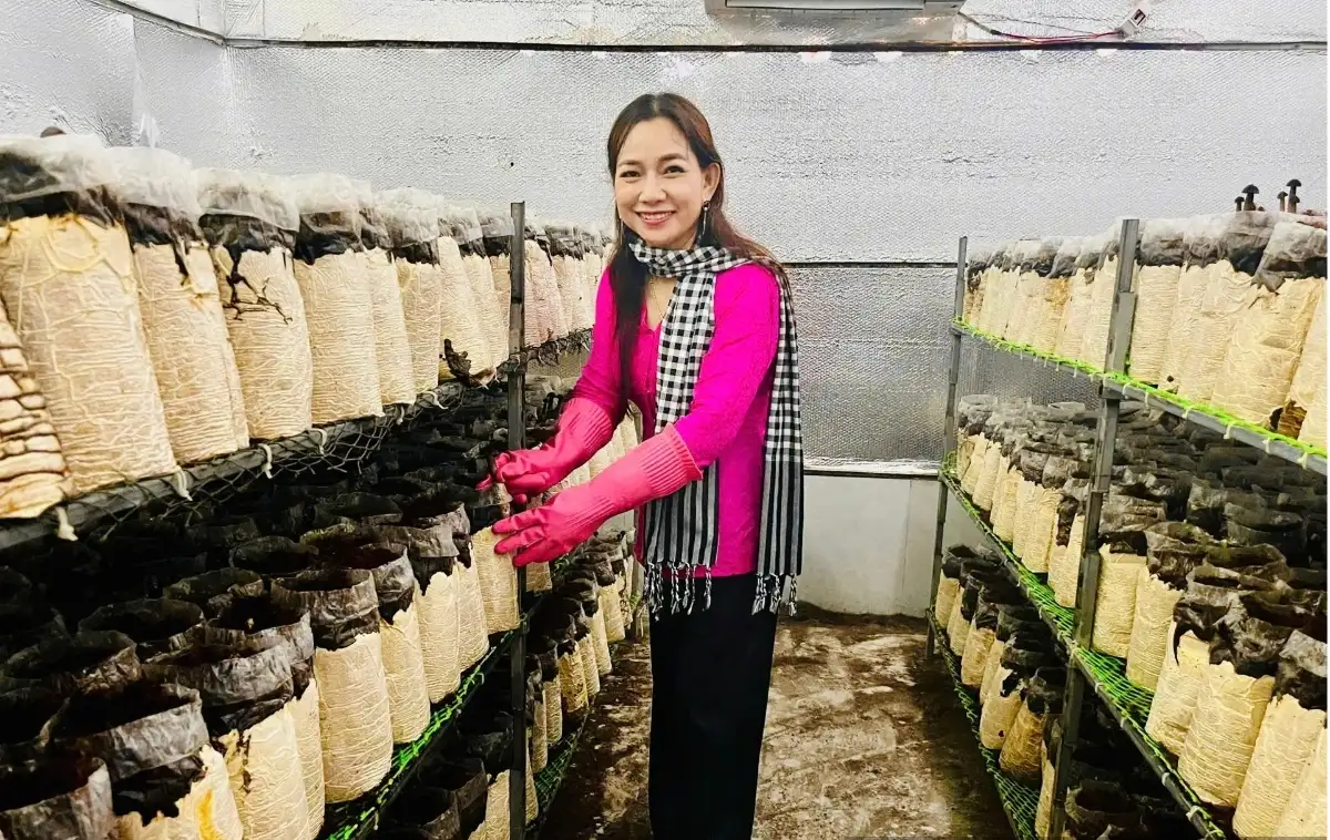 Biến rơm rạ thành “vàng”: Nữ giám đốc HTX thu 20 tấn nấm mỗi năm