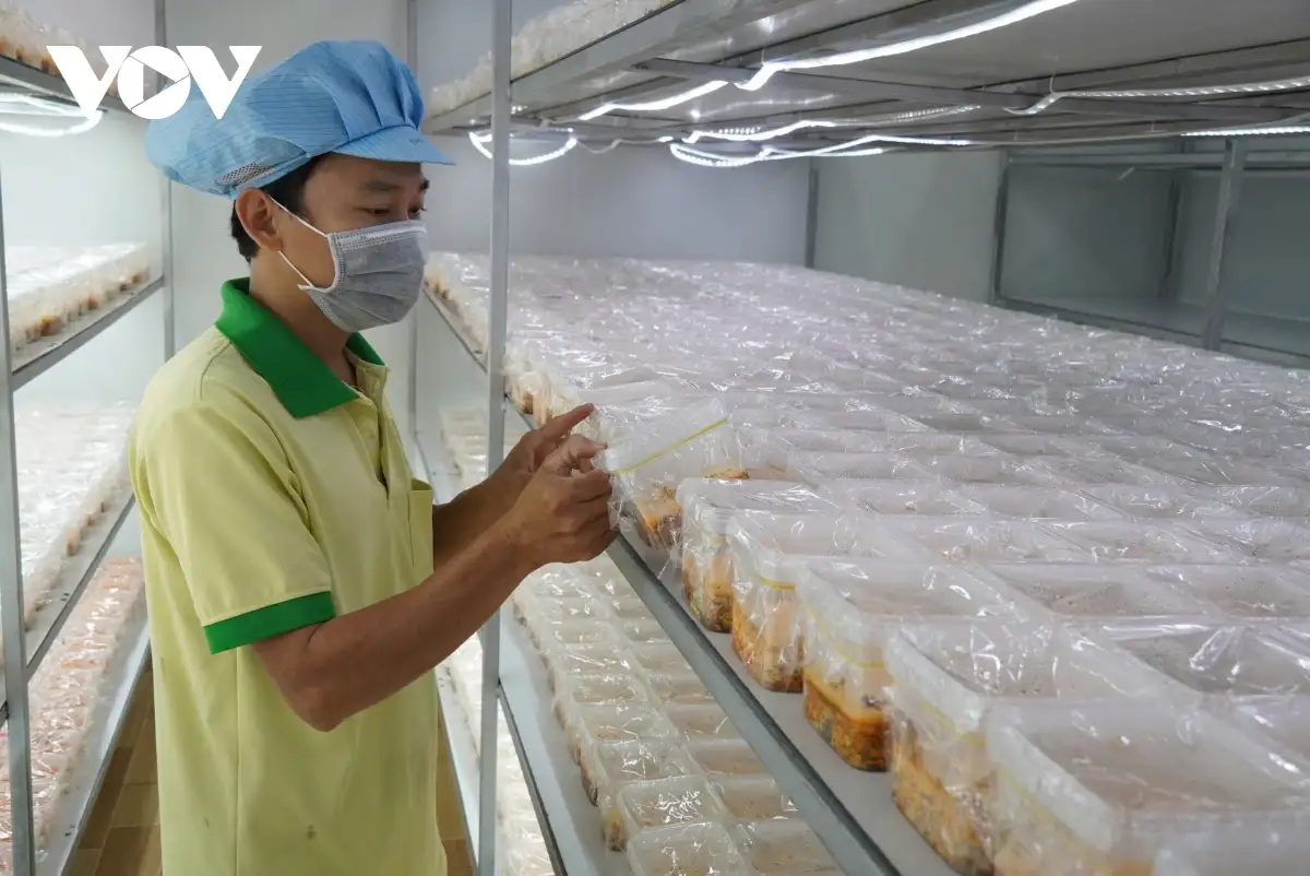 Bỏ phố về quê khởi nghiệp thành công từ cây nấm