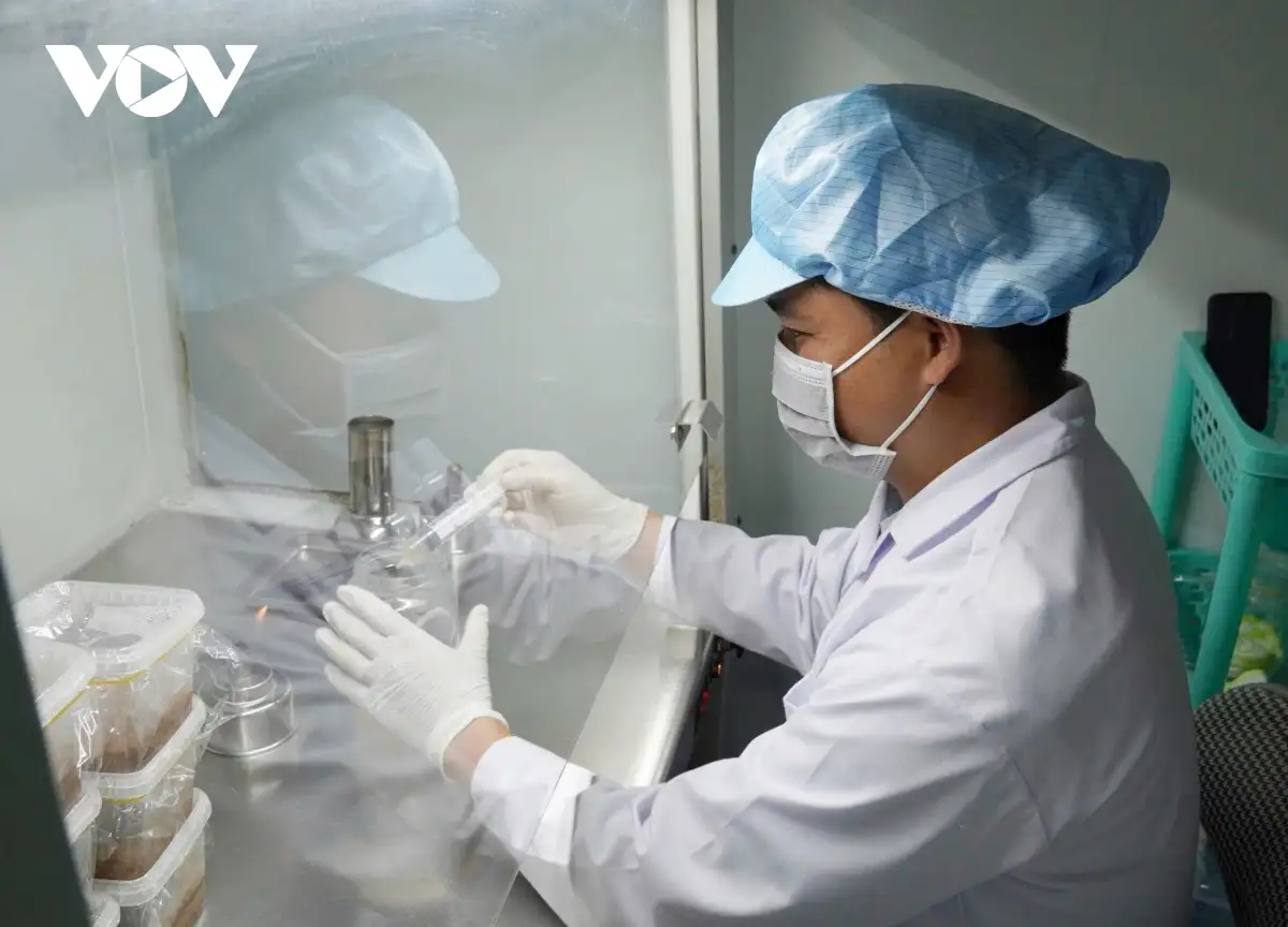 Bỏ phố về quê khởi nghiệp thành công từ cây nấm