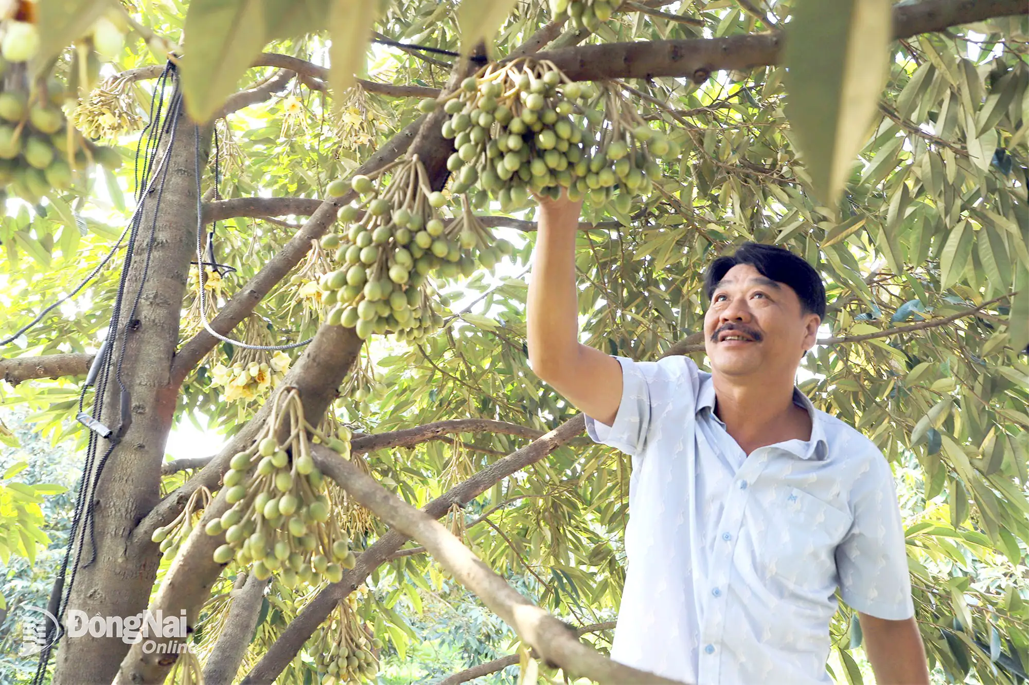 Các địa phương nỗ lực về đích nông thôn mới