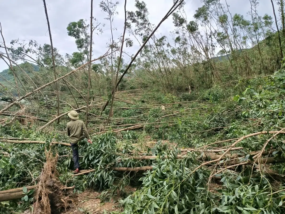 Cần mở rộng sản phẩm chủ lực được bảo hiểm nông nghiệp