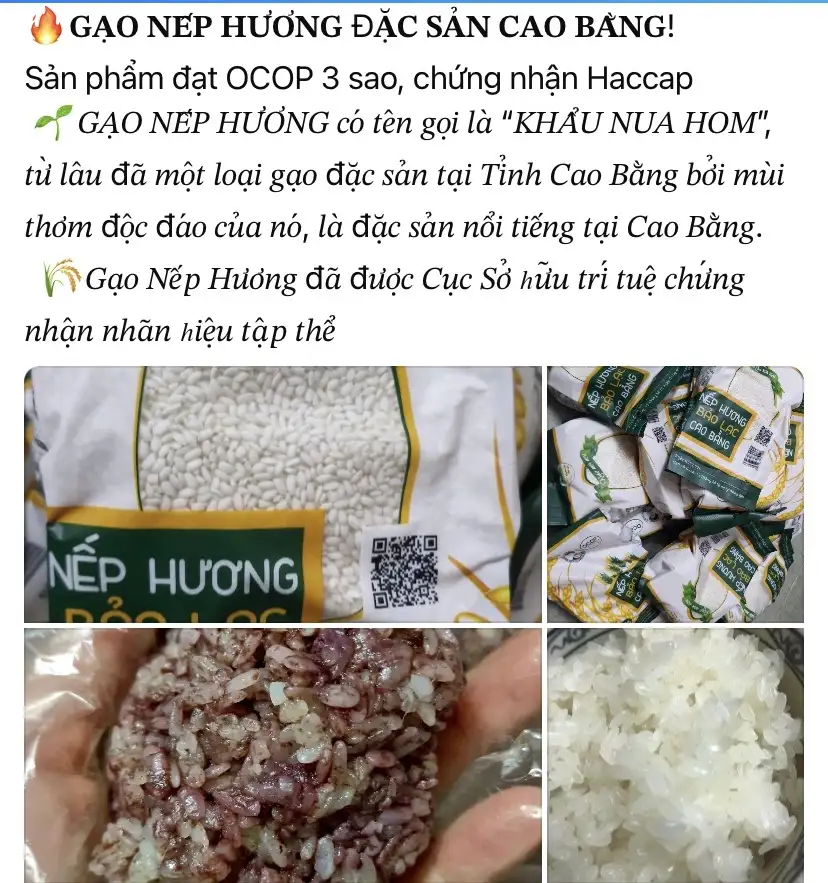 Cần nâng tầm và phát triển OCOP Cao Bằng từ “Nhiều xã một sản phẩm”