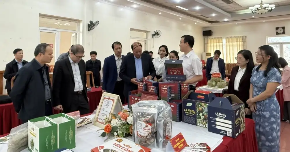 Cần nâng tầm và phát triển OCOP Cao Bằng từ “Nhiều xã một sản phẩm”