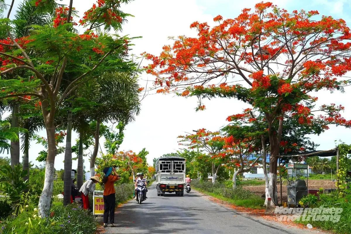 Cần Thơ phân loại xã theo tiêu chí nông thôn mới giai đoạn 2026 – 2030