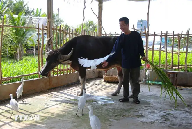 Cần Thơ: Phát huy lợi thế sông nước, xây dựng sản phẩm du lịch sinh thái đặc thù