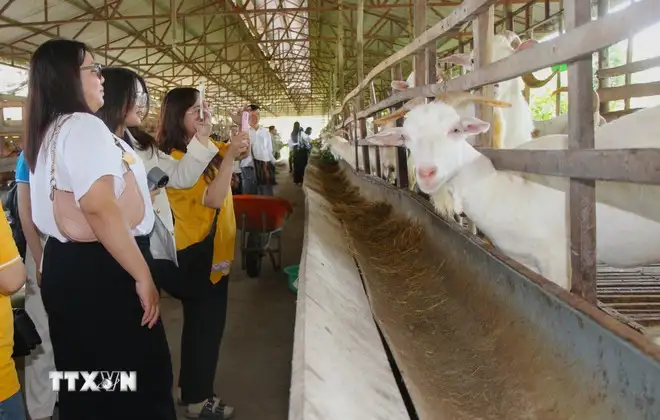 Cần Thơ: Phát huy lợi thế sông nước, xây dựng sản phẩm du lịch sinh thái đặc thù