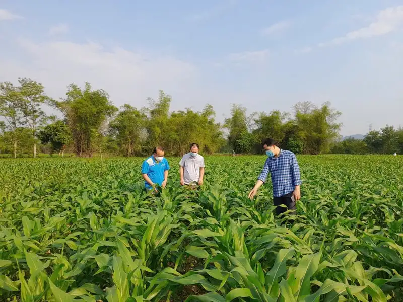 Cao Bằng: Đưa sản phẩm OCOP tiếp cận thị trường lớn hơn