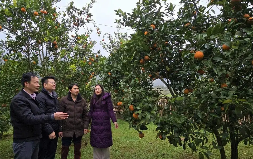 Cao Bằng: Tín dụng chính sách tiếp sức giảm nghèo bền vững nơi địa đầu Tổ quốc