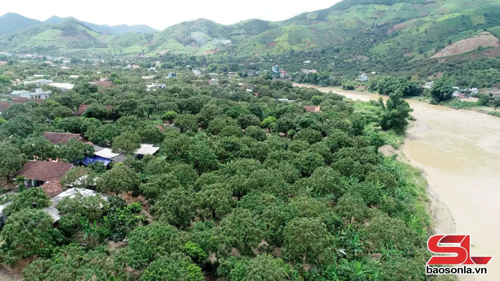 Chất lượng, an toàn – trọng tâm sản xuất nông nghiệp