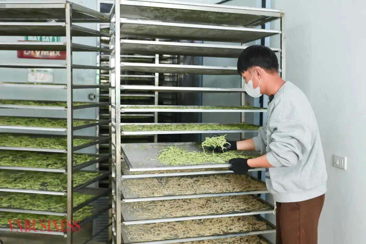 Chế biến sâu nông sản, 9X Nghệ An biến rau củ thành sản phẩm giá trị cao