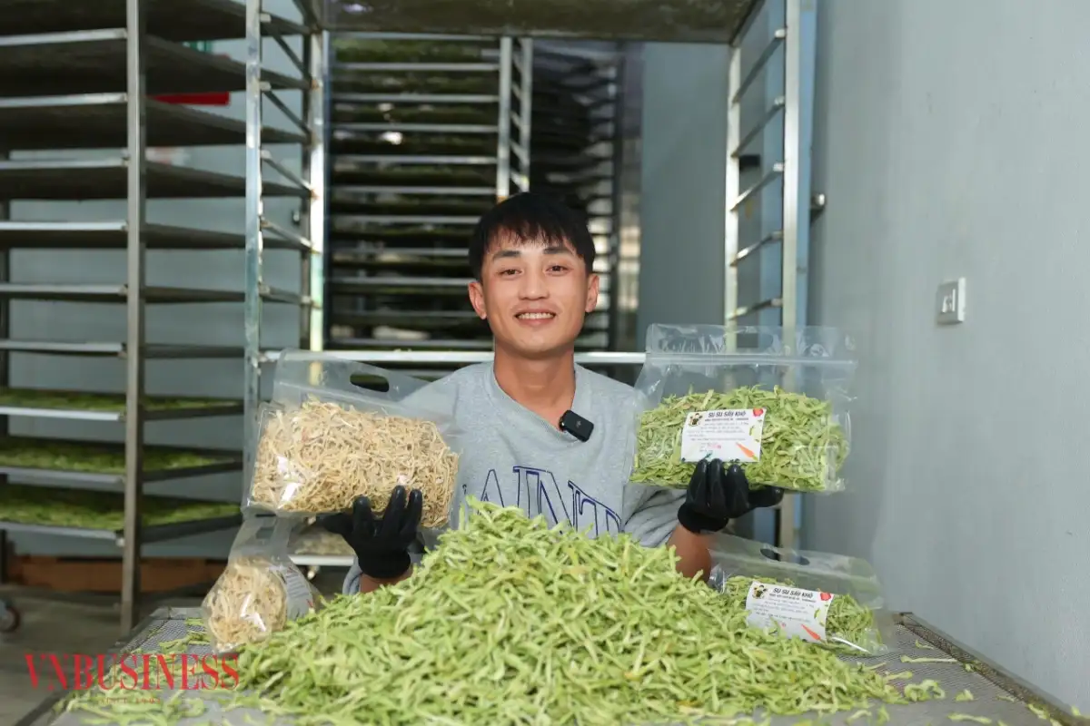 Chế biến sâu nông sản, 9X Nghệ An biến rau củ thành sản phẩm giá trị cao